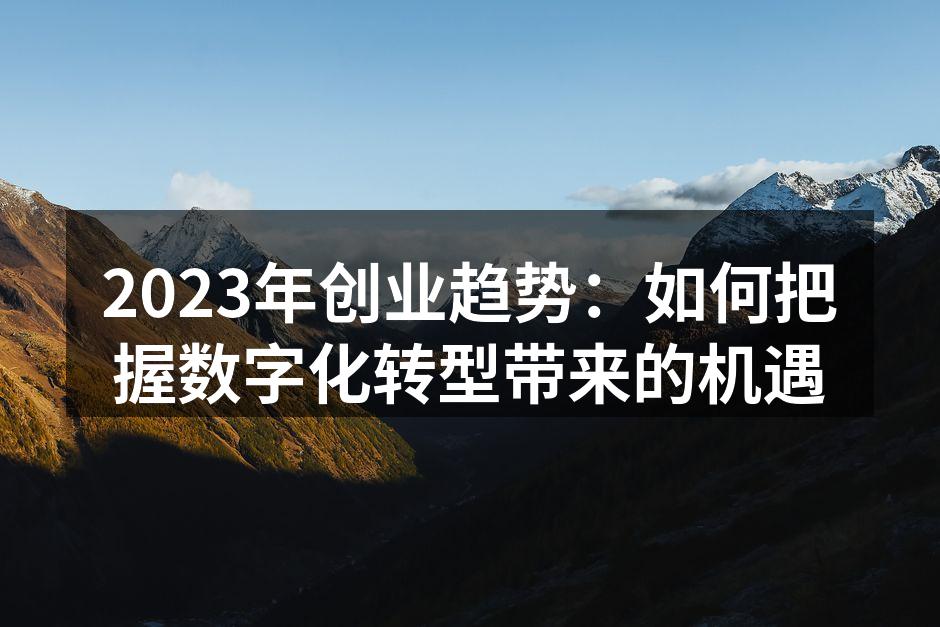 2023年创业趋势：如何把握数字化转型带来的机遇